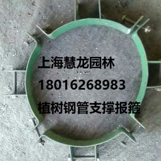 大樹報(bào)箍，植樹支撐報(bào)箍，鋼支撐報(bào)箍